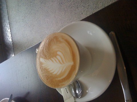 (Even a cup of coffee is art in NZ...the silver fern is their national symbol)