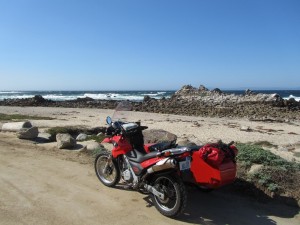 Along the shoreline drive at Pacific Grove