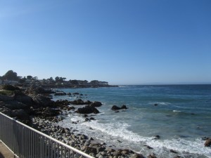 Across the street from the Borg Motel in Pacific Grove